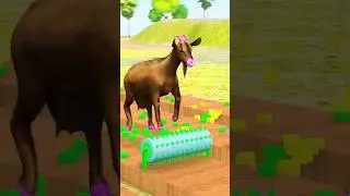 Goat To Cat Funny Animals #animal #cat #goat #waterfountain #funnyanimals #petanimals #cartoon