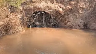 Extreme Rural Culvert Cleaning Restores Forgotten Farm Road
