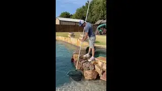 CEO in the Field | Pool Care Route