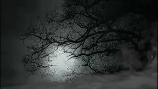 Horror Video Sample