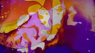 Maida Rose - Harmony of Heartache (Official Lyric Video)