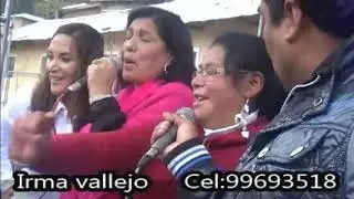Irma Vallejo Huaylasjirca_Cerro de Pasco 13/10/18
