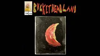 Buckethead -- Renewed Wonder (Pike 746)