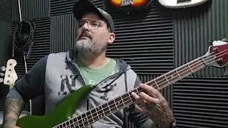 Fun people - Searching my Lucky again - Bass cover 🎧🎸