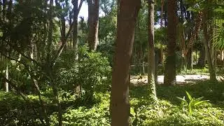 Parque de Maria Luisa, Seville, Spain 🇪🇸