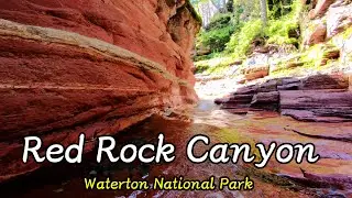 Red Rock Canyon  Waterton National Park