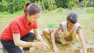 From Farm to Table: Harvesting, Sell at Village Market & Cooking Fresh Meals | Hana Daily Life 686