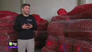 Reportagem Faça Chuva Faça Sol sobre a produção de castanha em 2024