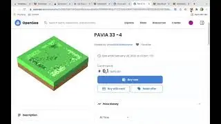 How to buy Pavia Land and get big profit