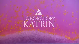 Лаборатория Катрин