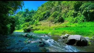 Relaxing River Sounds the water flows in a gentle rhythm, the atmosphere relieves stress