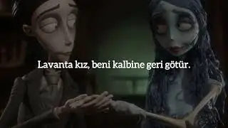 Caamp - Lavender Girl (T&uuml;rk&ccedil;e &Ccedil;eviri)