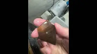 Nice example of how ammonite fossil shell becomes gemstone