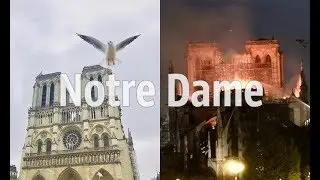 The French should take responsibility for caring for the cultural heritage of all humankind