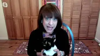 My Magic Carpet Washable Ramage Print Rug on QVC