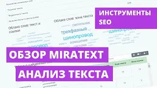 Обзор сервиса по анализу текста MIRATEXT