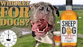 Sheep Dog Peanut Butter Whiskey, A Dog Gone Good Review