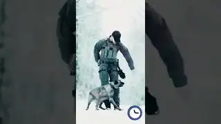 🥇Cane Corso attack! Super security and protection! #СТРАЖ #malinois #protectiondog #k9 #dog