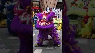 2025 World Dragon & Lion Dance Extravaganza | Lalaport, Kuala Lumpur