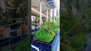 ideal hotel Marmaris summer 2023 #holiday #vlogger