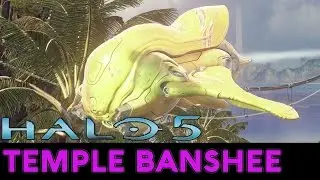 Halo 5: Guardians - Ultra Rare Vehicle Showcase - Temple Banshee