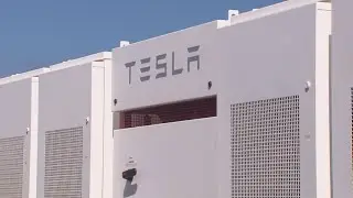 Tesla rolls out cheaper versions of its most popular models