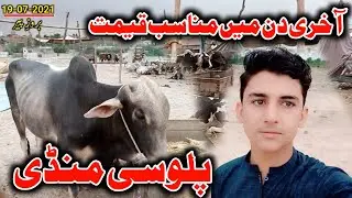 Palosi Mandi Peshawar 2021 | Peshawar Palosi Mandi New Updates