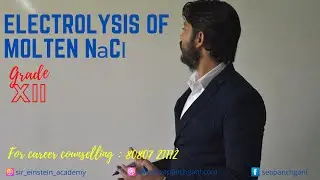 Electrolysis of Molten NaCl #electrochemistry #electrolysis #chemistry #sireinsteinacademy