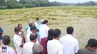 കനത്ത മഴയിൽ വ്യാപക കൃഷിനാശം; കർഷകർക്ക് ലക്ഷങ്ങളുടെ നാശനഷ്ടം|Kottayam rain |Agriculture lose