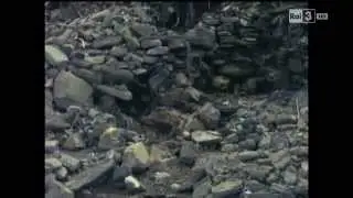 Succiso. Un paese che frana (1964)