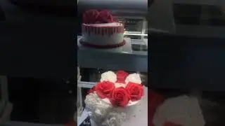 14 February Love Celebration 🎉