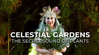 Celestial Gardens: The Secret Sound of Plants, Adelaide Fringe Best Event at Carrick Hill