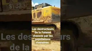 Les pollueurs de la 