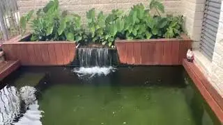 ברכת שחייה ביולוגית/אקולוגית של מים טבעיים ללא כלור או מלחים תוכנן ובוצע אקווה גן 97289763785