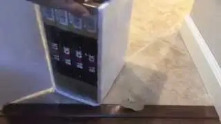 Ordering Djarum Black Clove Cigarettes to United States