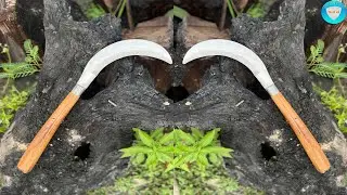 THE MOST BEAUTIFUL SICKLE MAKING PROCESS\Blacksmith SPR.