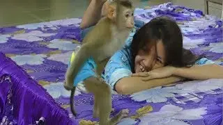 Awesome Monkey Baby Mori Take Off T-Short Herself, Mori Happy To Roll And Jump