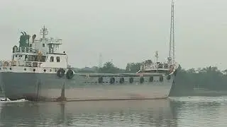 VID_20251124_171449