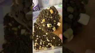 Hạt SC Grainfree kh&ocirc;ng ngũ cốc , topping ch&agrave; b&ocirc;ng chim bồ c&acirc;u v&agrave; l&ograve;ng đỏ trứng 🥳🥳 đặc biệt c