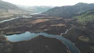 Killarney national park after fire