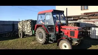 Probírka dubového porostu 2x Stihl, Zetor