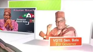 Kauran bauchi