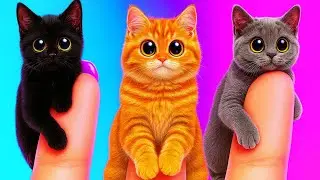 Don't Forget the Tiny Paws *Best Gadgets and Hacks for Pet Owners*