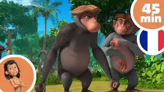 🟥 Appeau de la discorde 🟥 - Le Livre de la Jungle