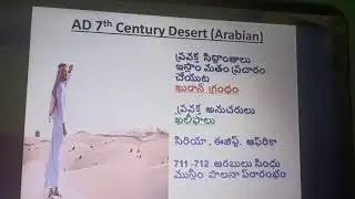 AVS Islam Culture