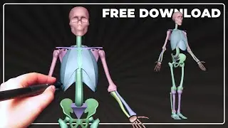 Моделирование упрощённого скелета человека | Blender 3D