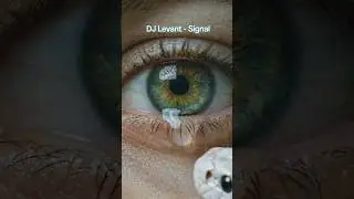 #SignalChallenge #djlevant #signal #Techno #shorts #new #explore #arabicedm #edit #dj #music #midd