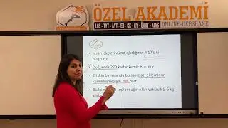 Ders 5 Kemikler Giriş