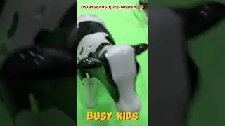 Battery Operated Cow.Lighting music toy cow.#toys #busykids #drone #rctoyscompany #dji #bndrone