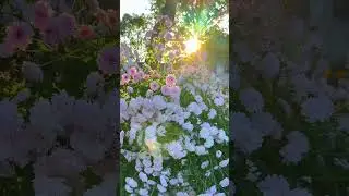 Autumn Ferris Wheel #nature #naturelovers #song #like #love